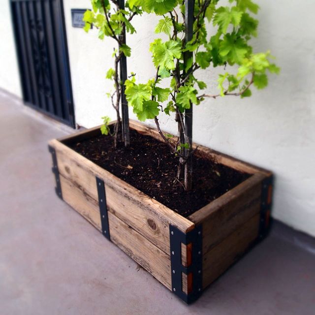 Scout Regalia Charcoal Grey Gardens