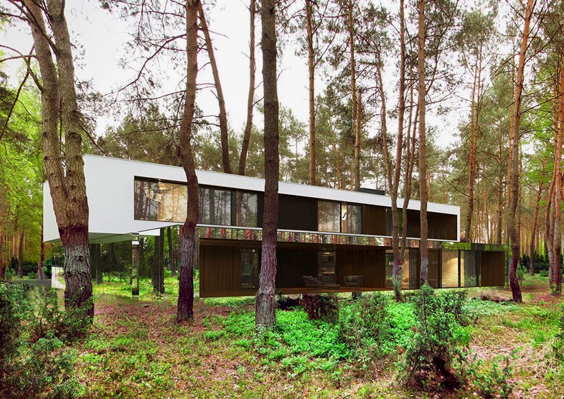 تصميم منزل وسط الغابة