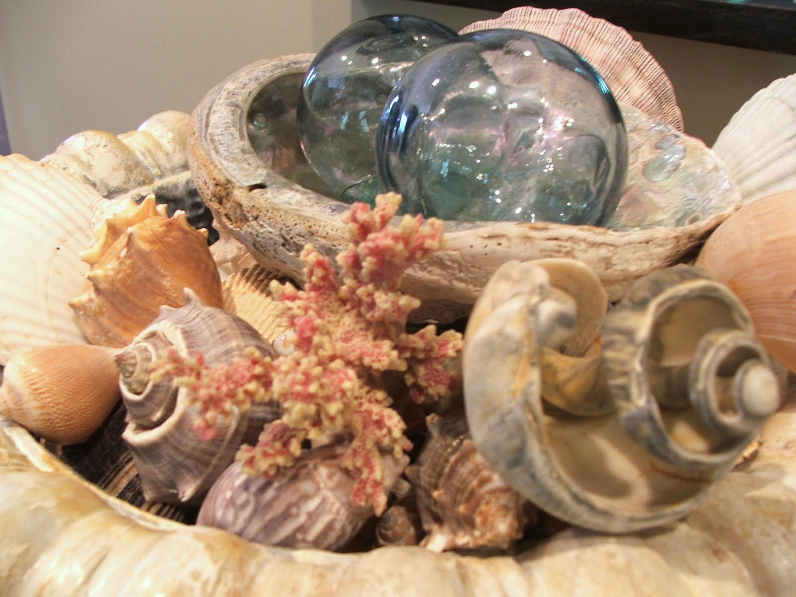 No minimalist here: decorating with seashells