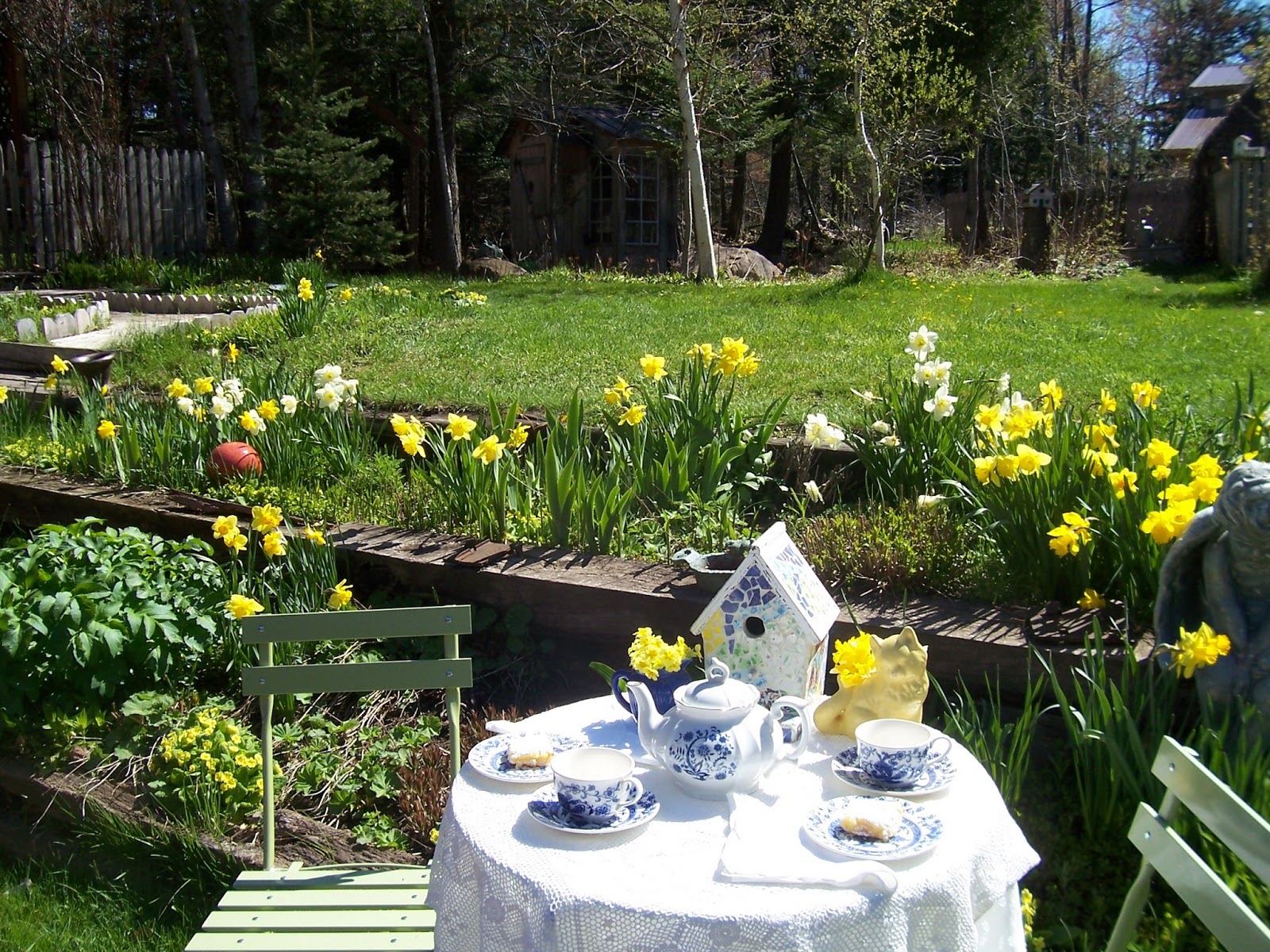 Two Cottages And Tea Tea Among the Daffodils