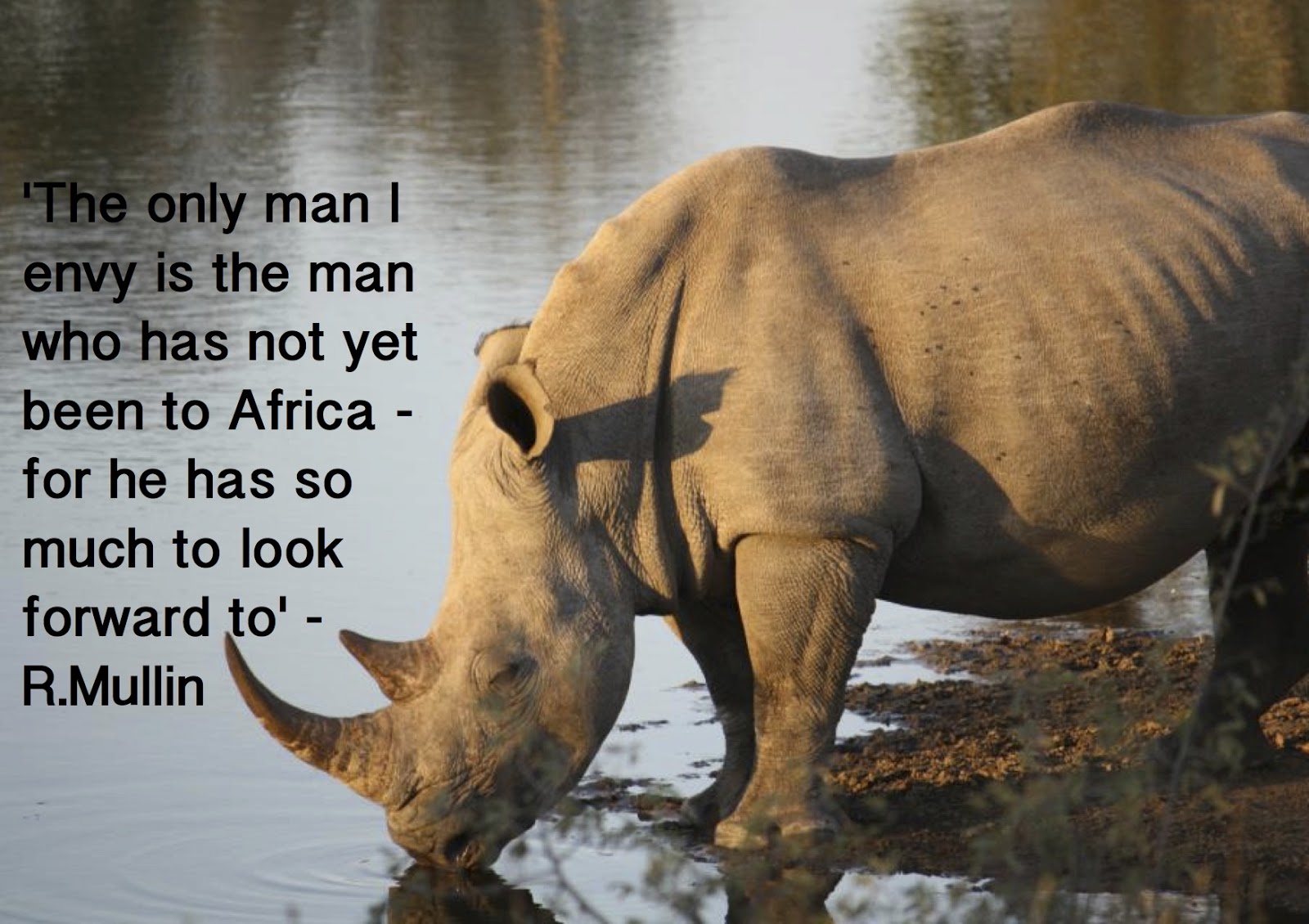 Rhinoceros Quotes. QuotesGram