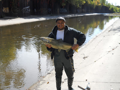 Nice chinook in milwaukee