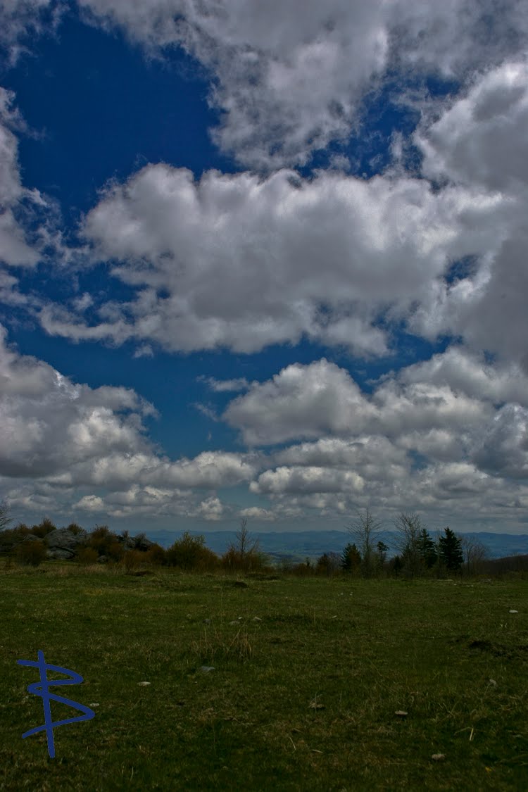 IMAGE: http://4.bp.blogspot.com/-fzkPRG6Vyhs/T5CBmeA4H4I/AAAAAAAAA8E/hMTfU_PXH2I/s1600/mtrogers-1-30%252Bcopy.jpg