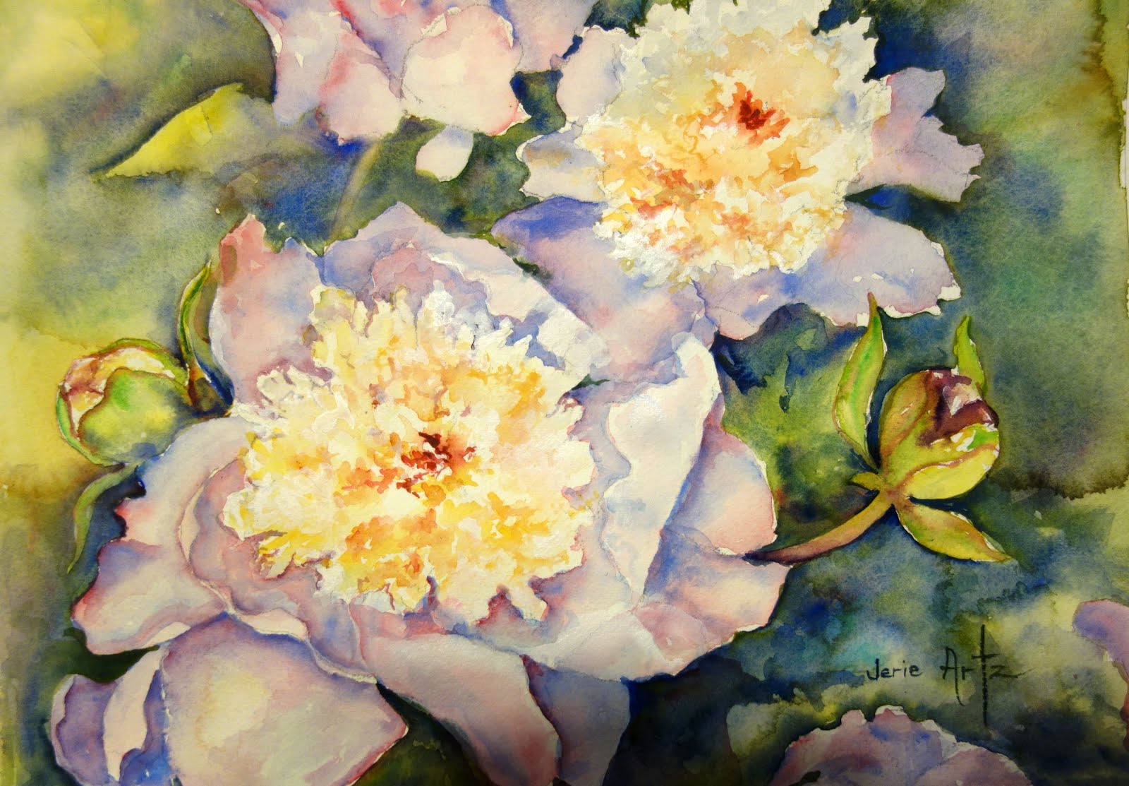 Peonies