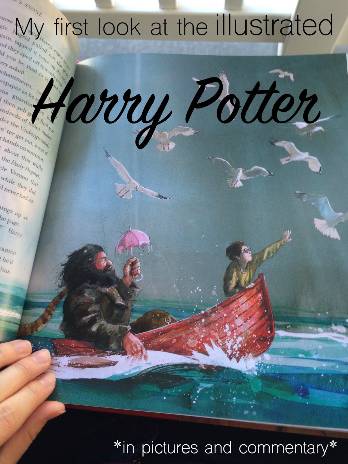 Book Review The Illustrated Harry Potter Book Worthington Ave