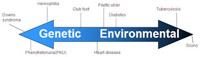 Nature Vs Nurture And Adoption Nature Vs Nurture And Adoption