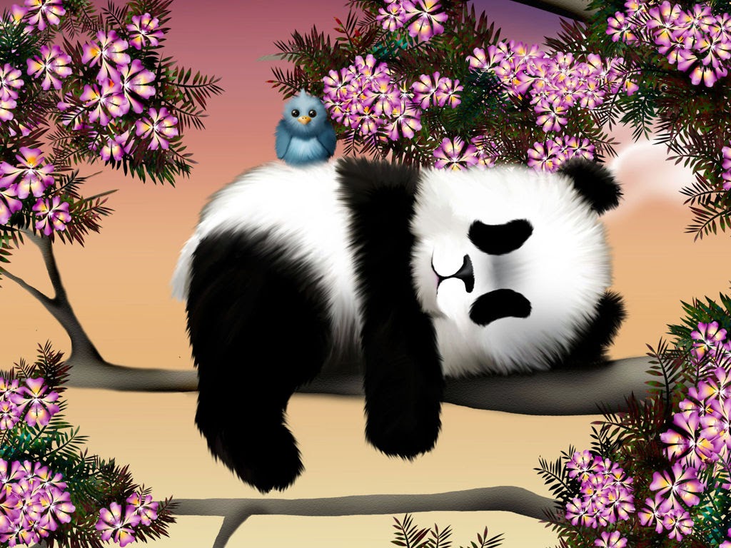 Cập nhật 114+ hình ảnh gấu trúc panda hay nhất - thtantai2.edu.vn