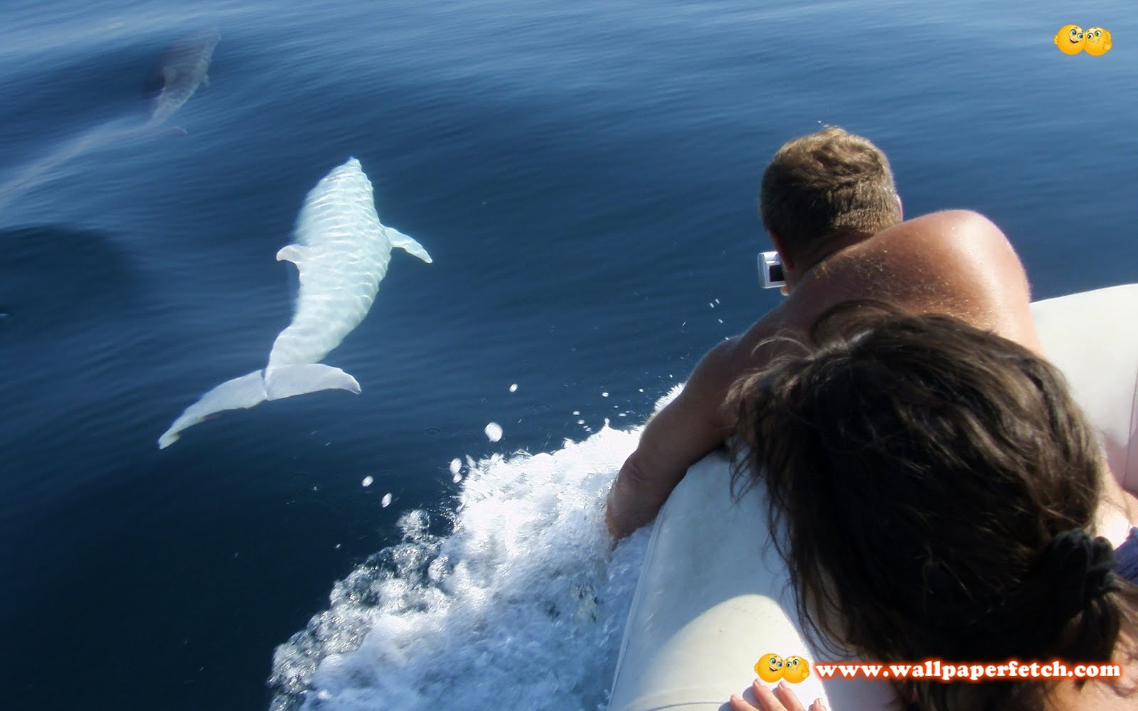 http://4.bp.blogspot.com/-g0EI9RK7Rgc/TpS8da2Y-yI/AAAAAAAAFBM/1M8OT1LiQ50/s1600/ComputerDesktopWallpapersCollection212_052.jpg
