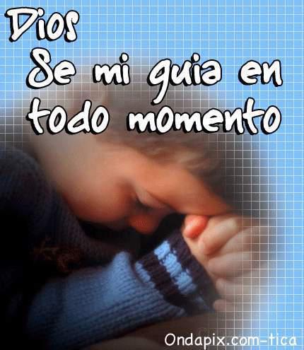 GUIA N S CELULAR guia n s celular: