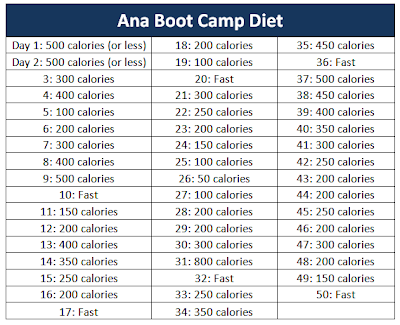Ana Boot Camp Diets Ana Boot Camp Diet