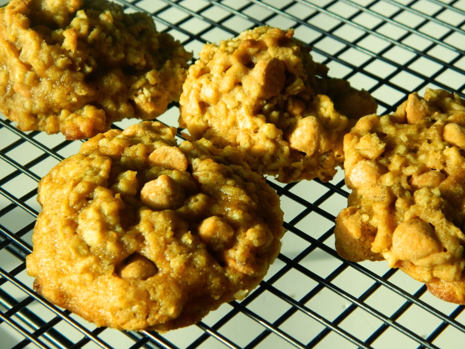 Out of the Right Brain Pumpkin Butterscotch Cookies {a dare}