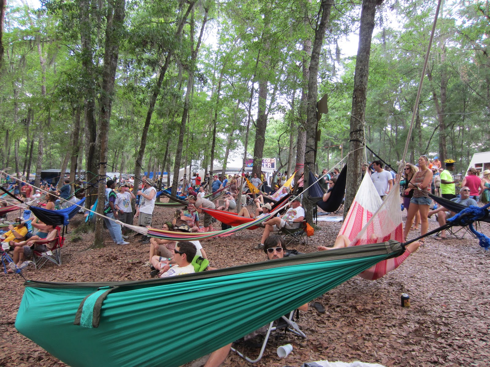 festgrrl Bear Creek Festival 10 Things To Know Before You Go