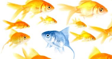 What Makes A Winner Tick - Quality Customer Engagement