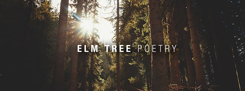 Elm Tree Poetry