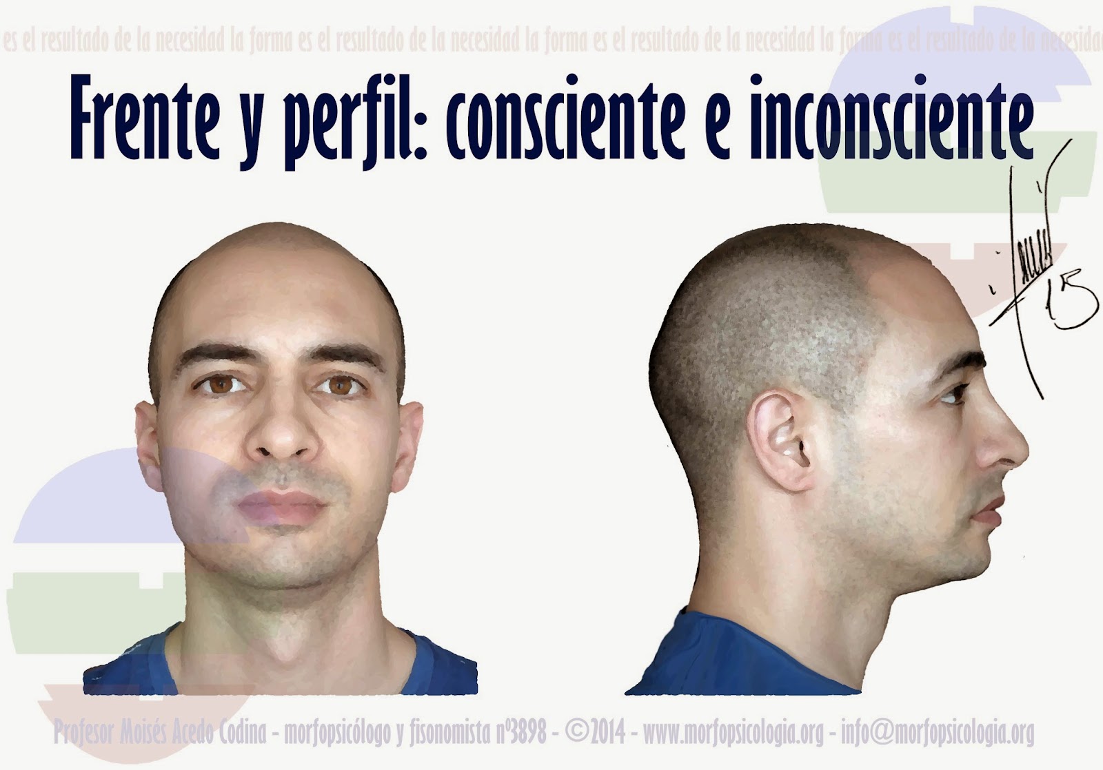 BLOGGER WWW.MORFOPSICOLOGIA.ORG: FRENTE Y PERFIL: CONSCIENTE E INCONSCIENTE