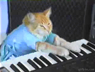 1242926205_keyboard_cat.gif