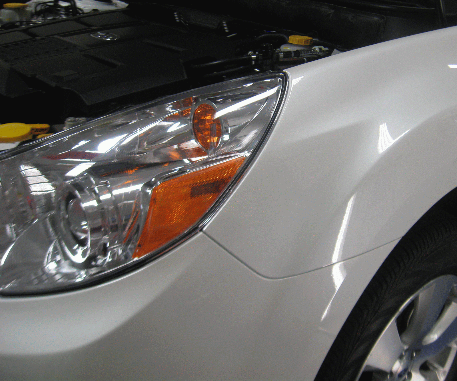 Paint Protection Clear Bra Vehicle Wraps Graphics 2012 Subaru