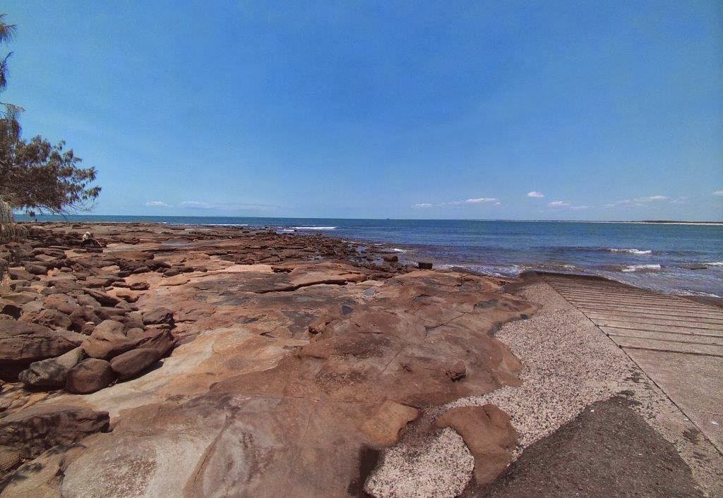 Nudibranch Central Species List Kings Beach Boat Ramp, Caloundra 2112013