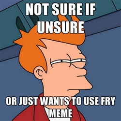 not sure if fry meme is or just true test not sure if fry meme is or just true test
