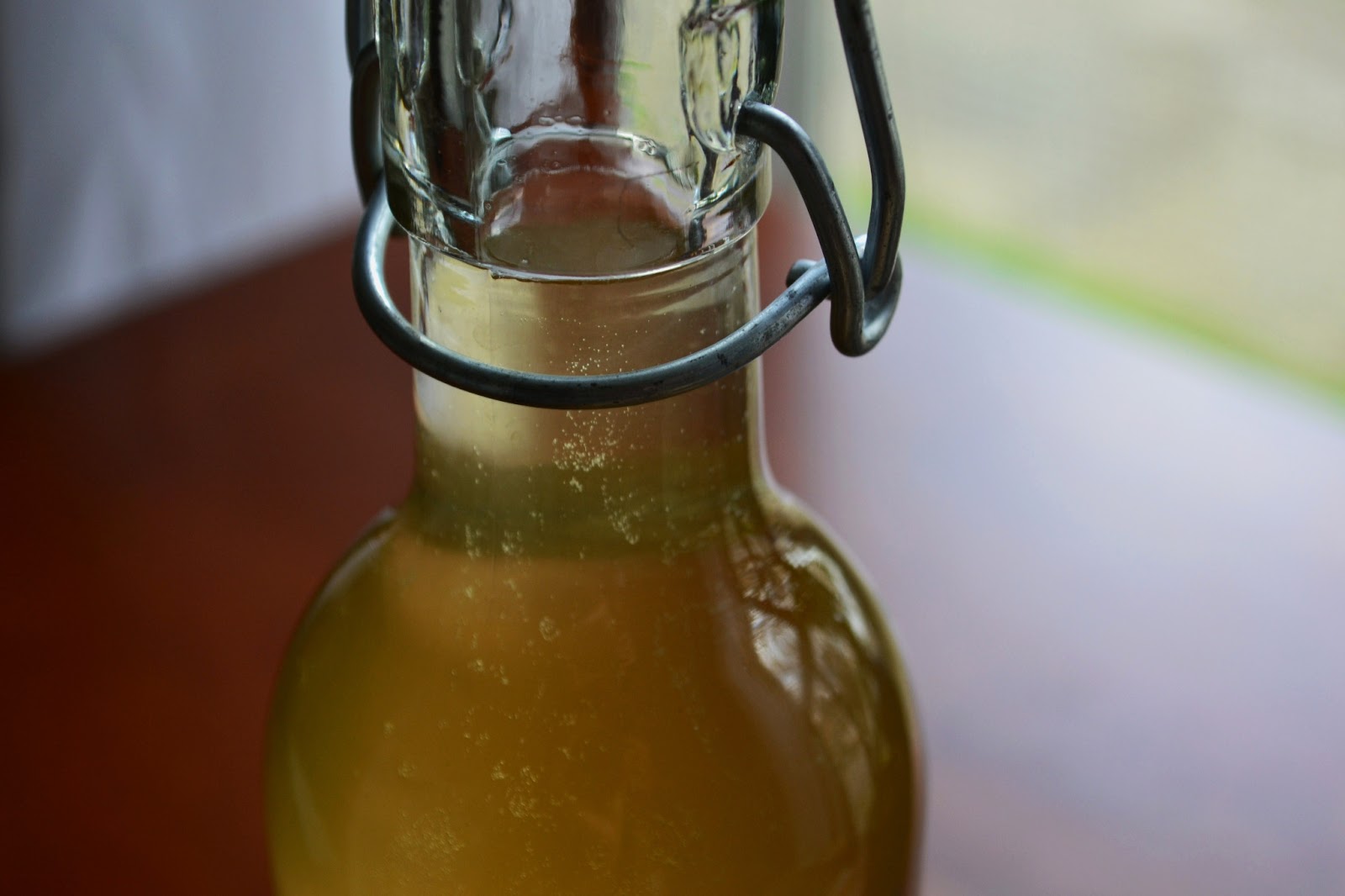 Nourish The Roots Easy Homemade Kombucha
