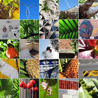 kent town botanical montage kent town botanical montage