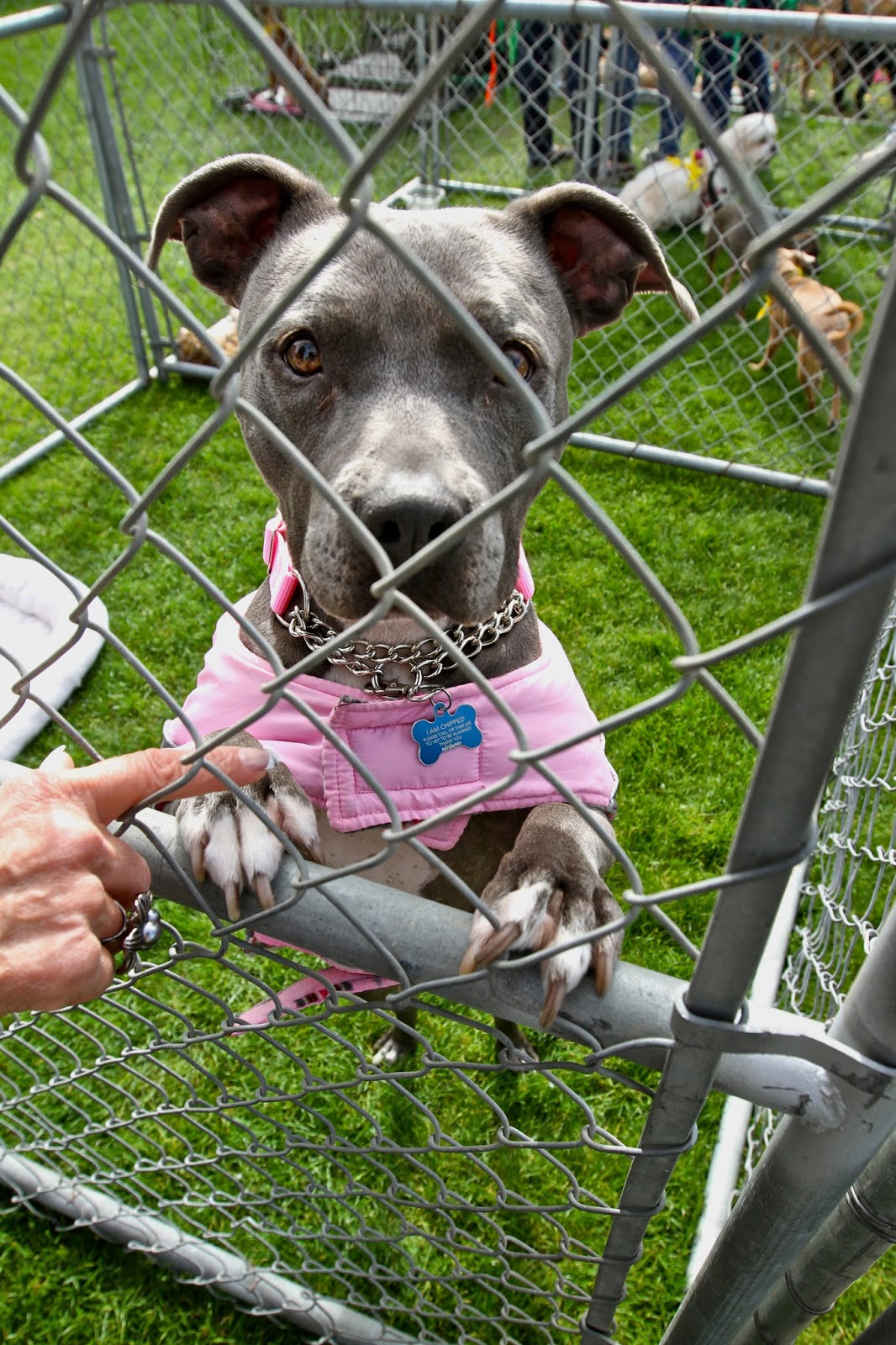 Wavesgonewild Hey Coachella Valley ! You have a few more hours to get