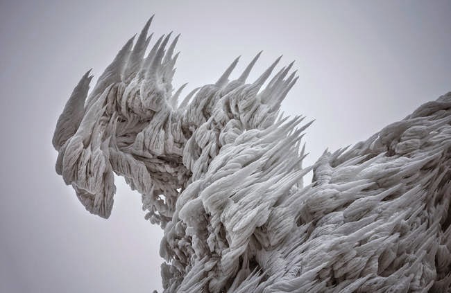 The Otherworldly Beauty Of Rime Ice Captured In Photos ...