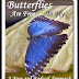 Butterflies Are Free To Fly - Free Kindle Non-Fiction