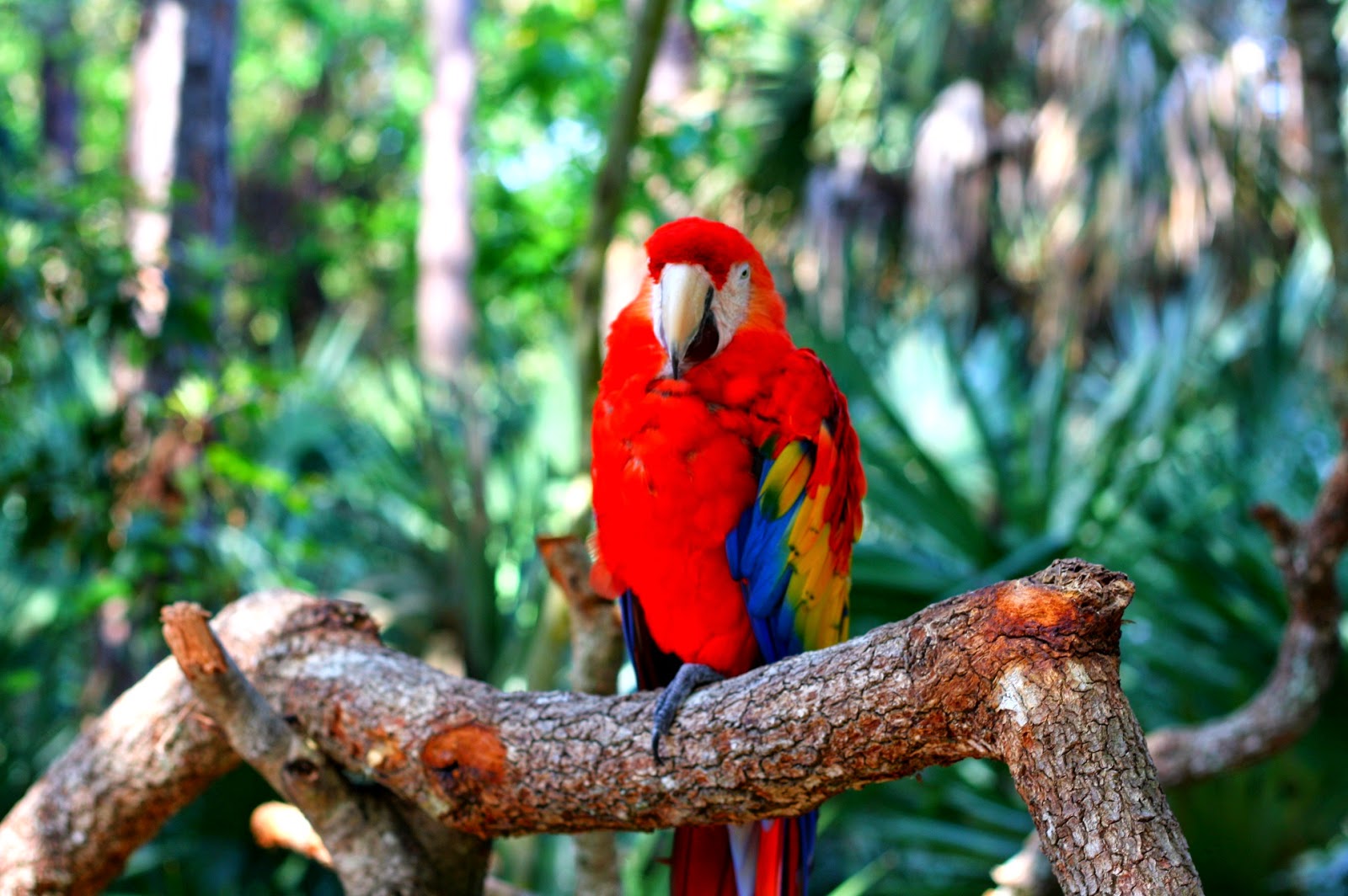 Raising Dick and Jane Brevard Zoo Melbourne, Florida