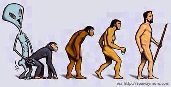 La discussion laugmentation du membre