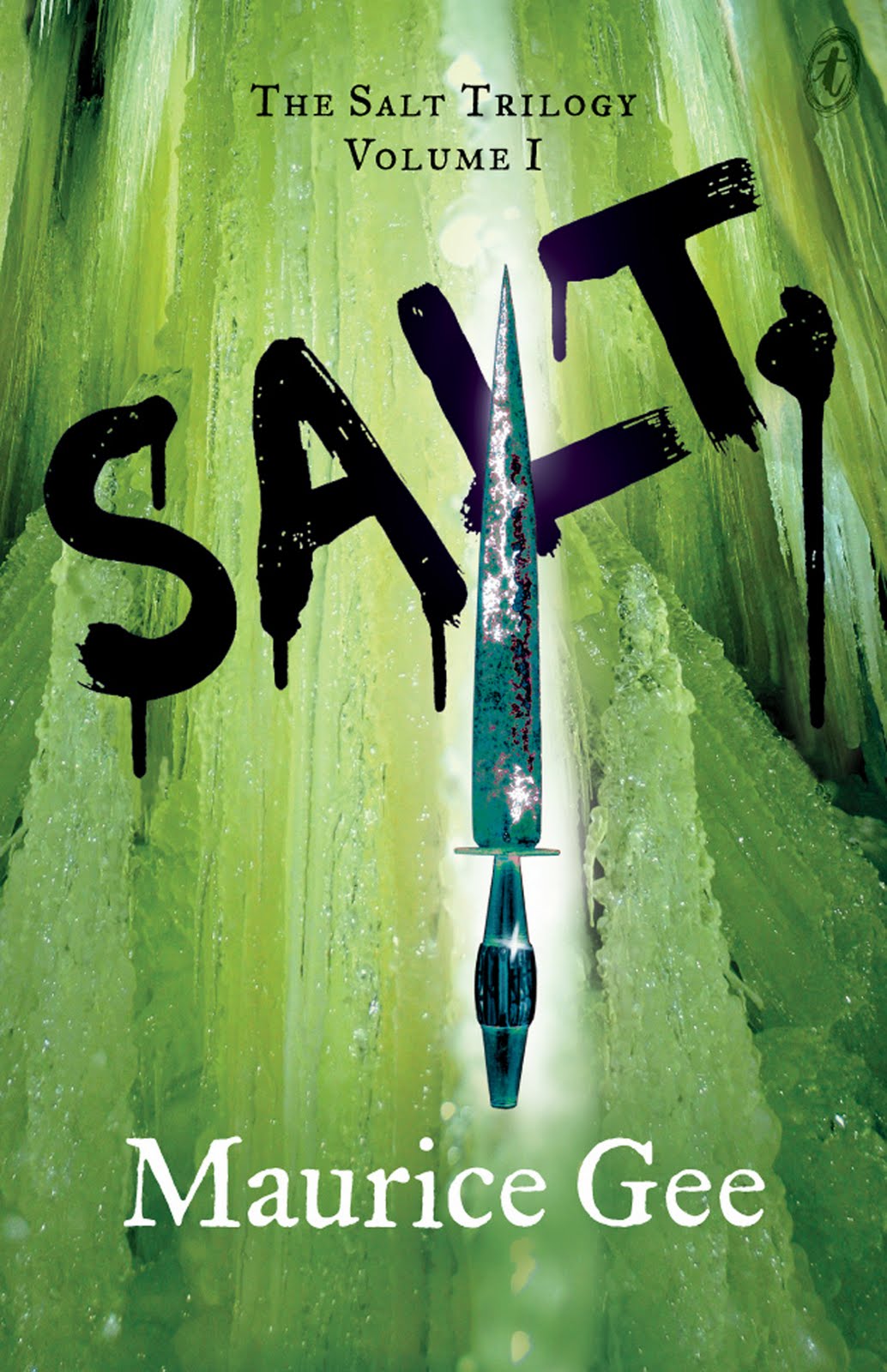 Book Spot Book Review Salt by Maurice Gee