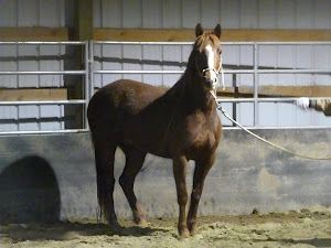 2012 Mustang