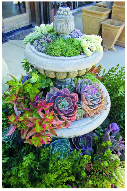 Sure Fit Slipcovers Creative Garden Planters To Inspire