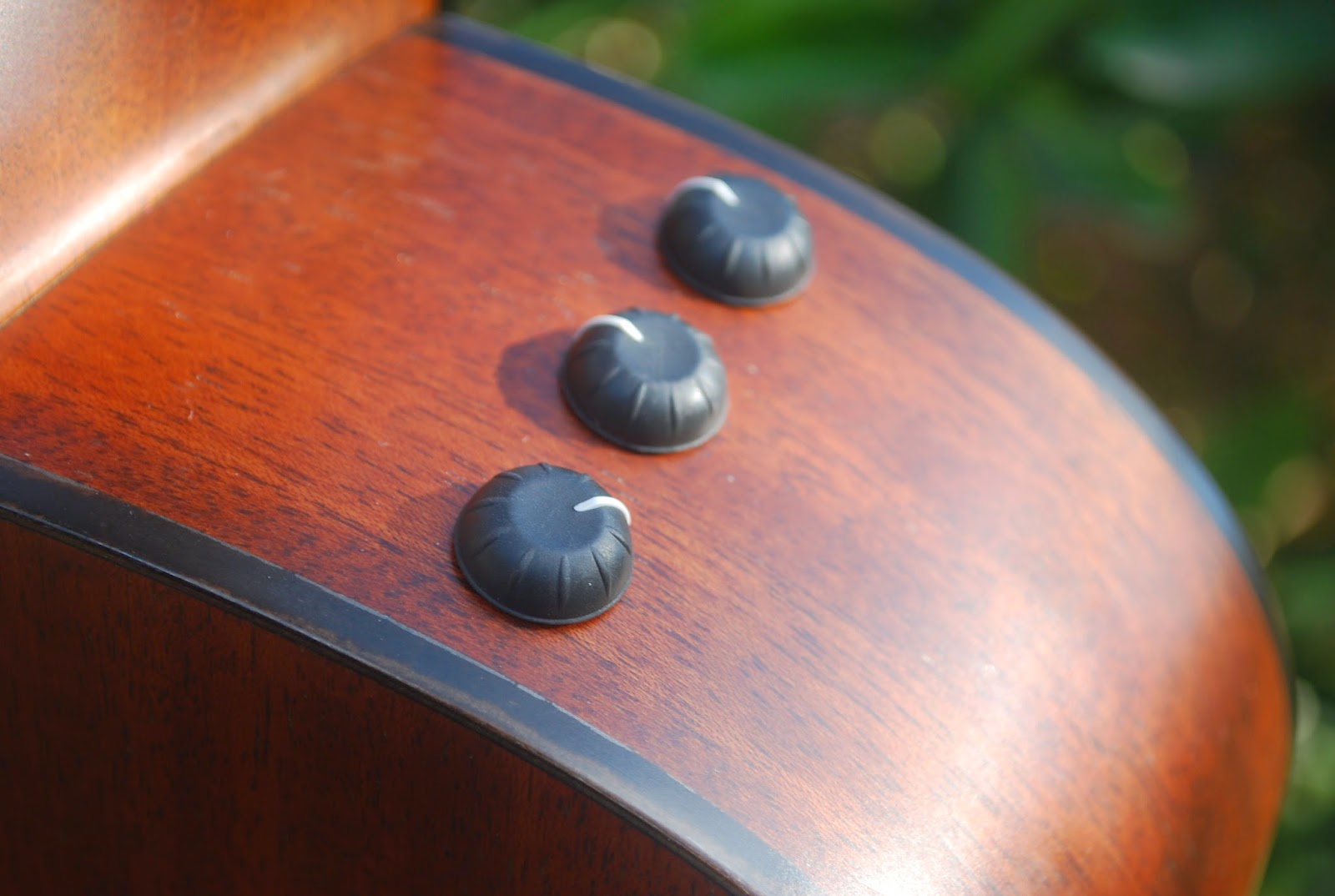 Rex and the Bass 2006 Taylor Grand Concert 312ce Acoustic Electric
