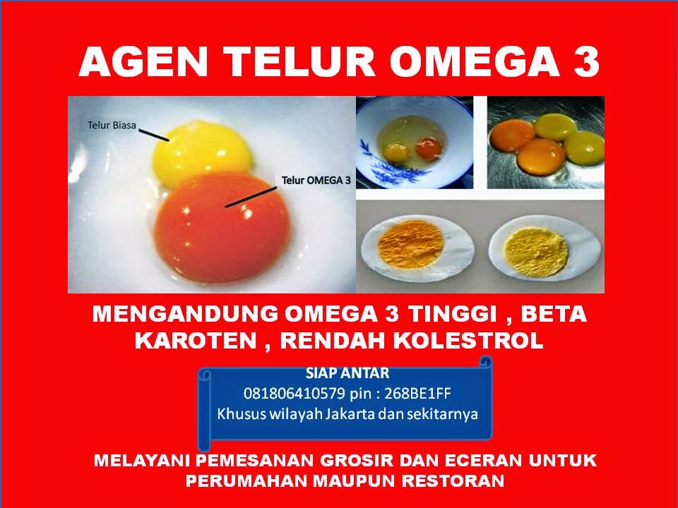 DISTRIBUTOR TELUR OMEGA 3