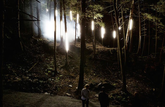 3. The entire night is illuminated by creepy and beautiful lights. - Am I Dreaming? This Park Turns Into An Illuminated Forest At Night. 3. The entire night is illuminated by creepy and beautiful lights. - Am I Dreaming? This Park Turns Into An Illuminated Forest At Night.