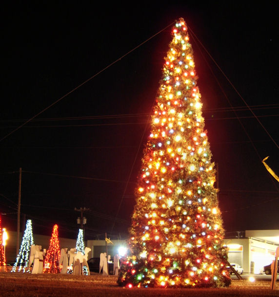 Terrell Daily Photo Terrell Christmas Tree