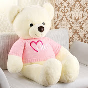 Teddy Bear~