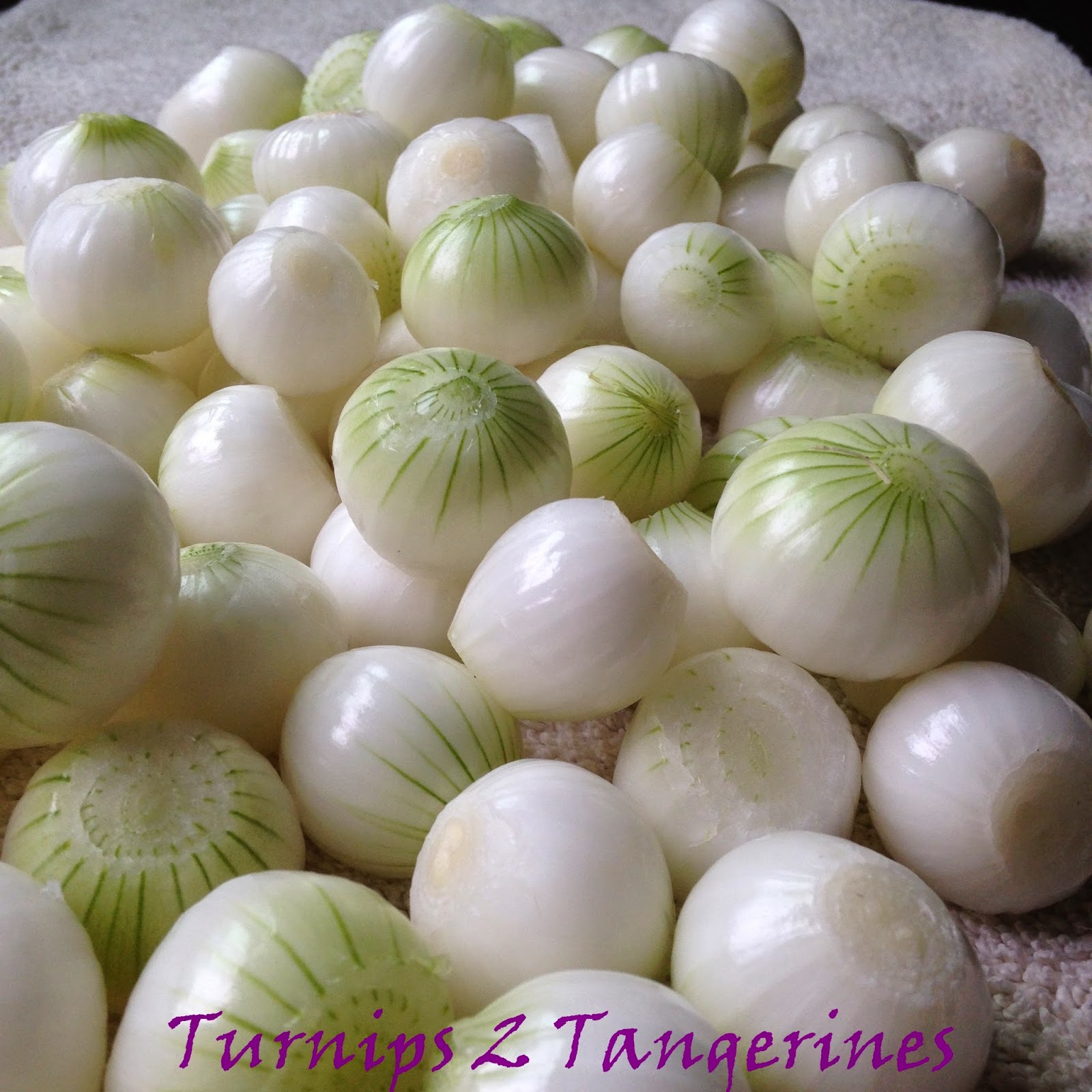 Turnips 2 Tangerines Pickled Pearl Onions