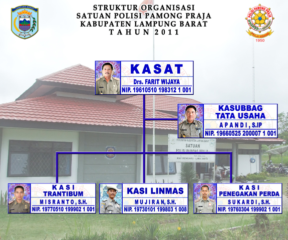 Struktur Organisasi Satuan Polisi Pamong Praja Kabupaten Lampung Barat Tahun 2010