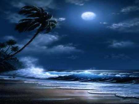 http://4.bp.blogspot.com/-g6amaKw6yhw/ToIf45xEqDI/AAAAAAAAEPs/yOYRXZrxQGM/s1600/Tropical+Moonlight+beach+moon+palm+tree.jpg