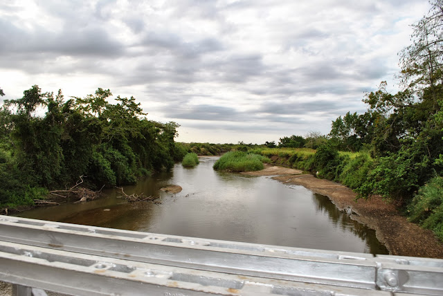 Wami bridge, Saadani National Park, Bagamoyo