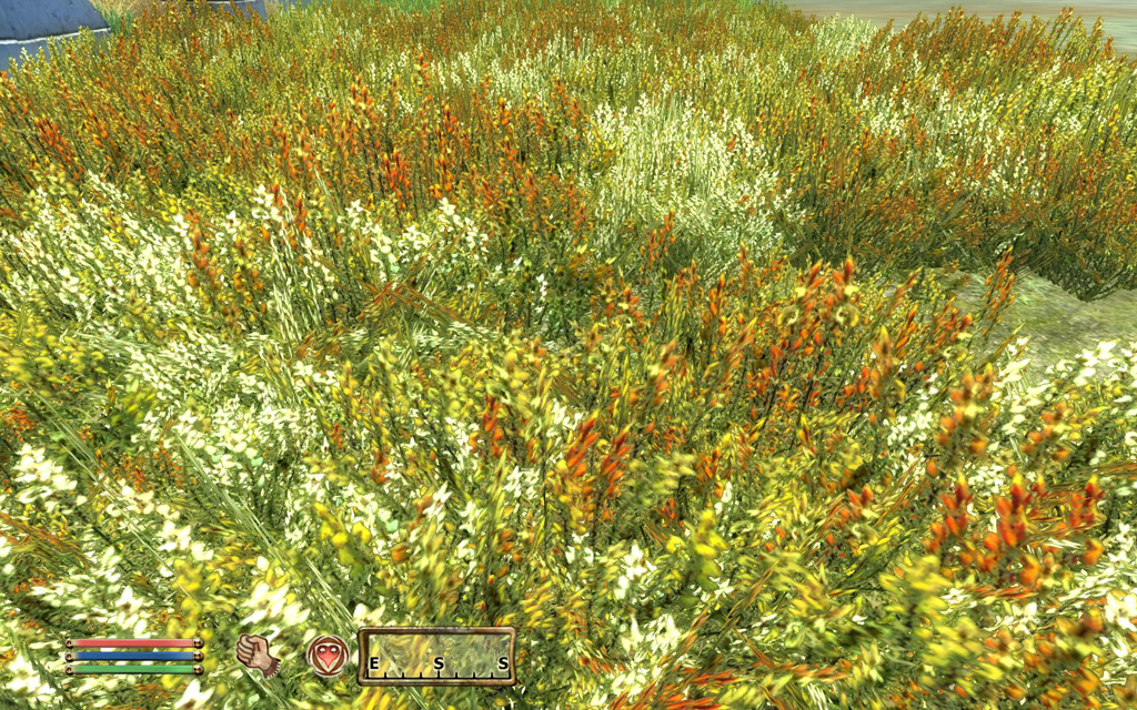 Moss Grass