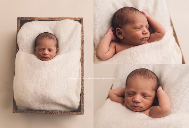 Greensboro Newborn Portraits - Jenifer Howard Studios
