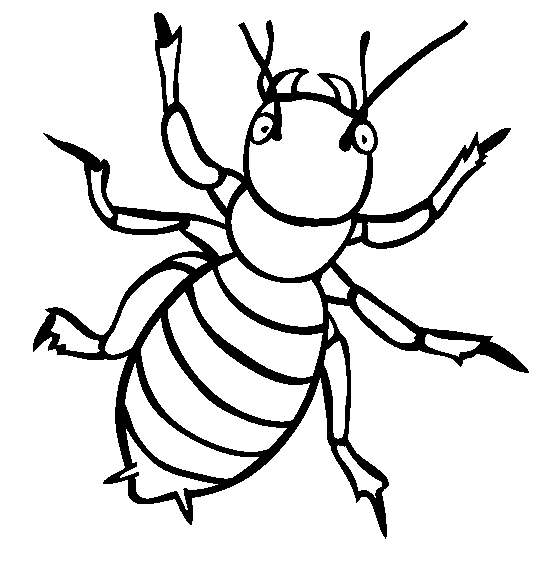 Bug Coloring Page Bug Coloring Page