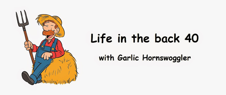 Life in the back 40 with Garlic Hornswoggler