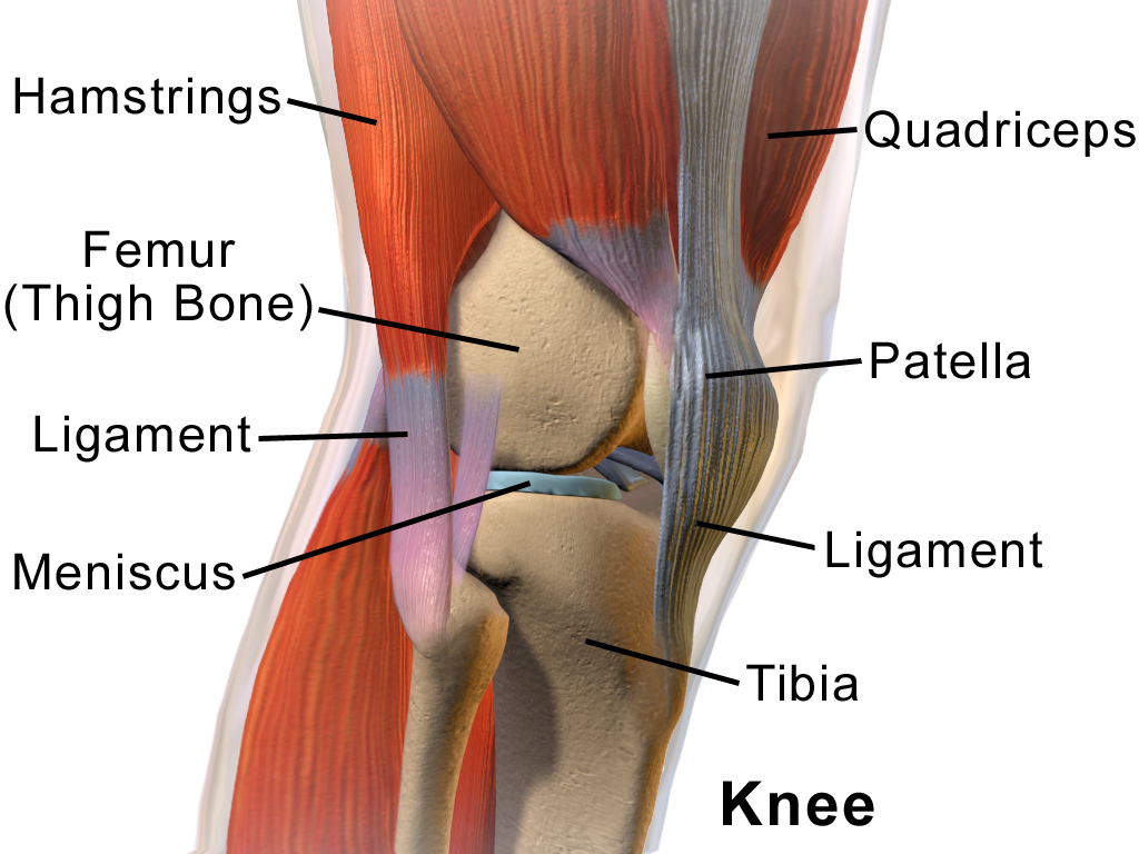 Strength is Never a Weakness: ACL: Reconstruction and Rehab