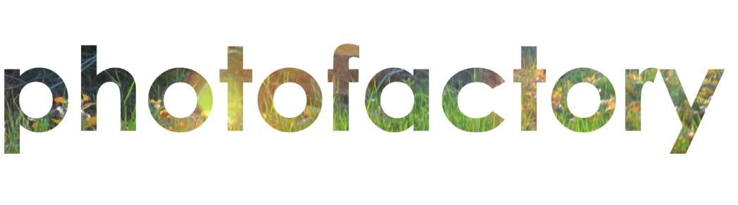 photofactory