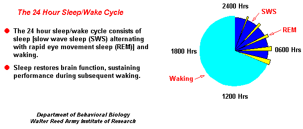 sleep and body function Do circadian rhythms affect body function and health yes circadian rhythms can influence sleep-wake cycles, hormone release. sleep and body function Do circadian rhythms affect body function and health yes circadian rhythms can influence sleep-wake cycles, hormone release.