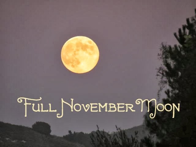 fullnovembermoon